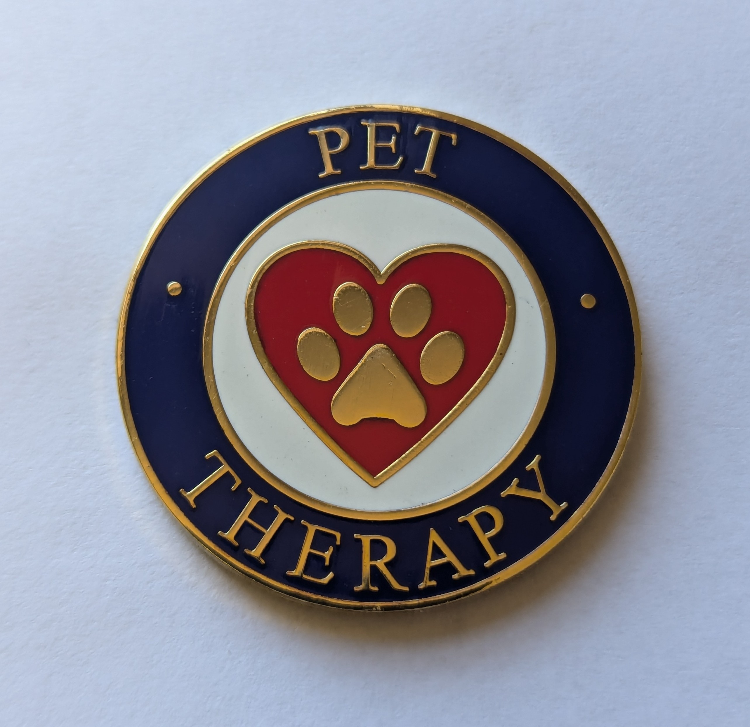 Stock Pet Therapy Pin #240