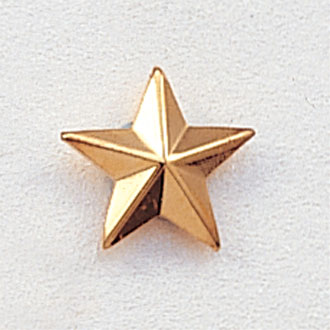 Small Beveled Star Lapel Pin #204