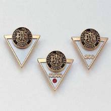Stock Hours of Service Lapel Pin – Triangle Design #150-H