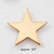 Stock Star Pin – Small Flat Star Style #205
