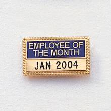 Stock Employee/Volunteer of the Year/Month Attachment – Engravable Guard Design #471
