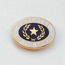 Stock Employee Lapel Pin – Star and Wreath Design #646
