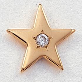 Large Flat Star with Gem Lapel Pin #CL-9G